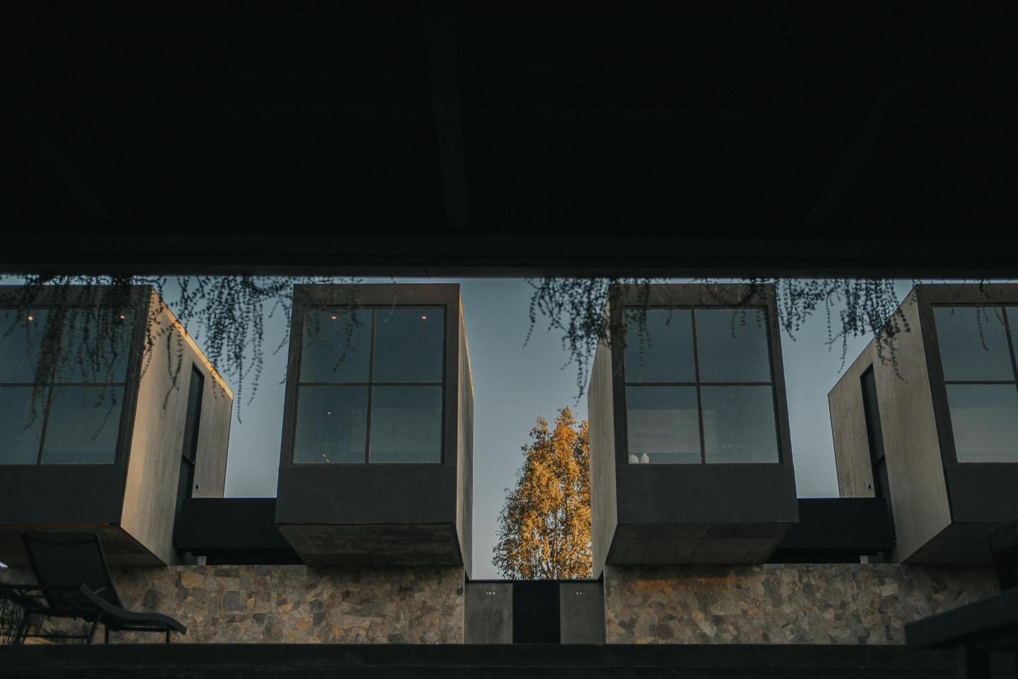 Dolmen Hotel Boutique Ensenada Exterior photo